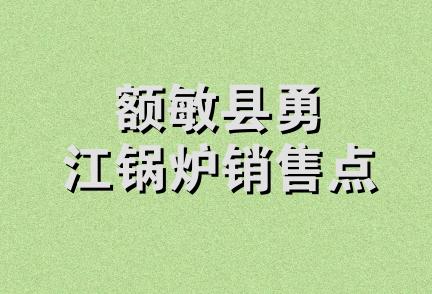 额敏县勇江锅炉销售点