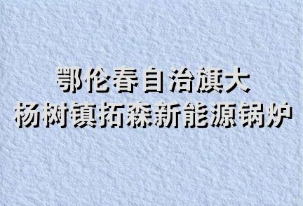 鄂伦春自治旗大杨树镇拓森新能源锅炉商店