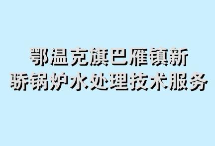 鄂温克旗巴雁镇新骄锅炉水处理技术服务中心