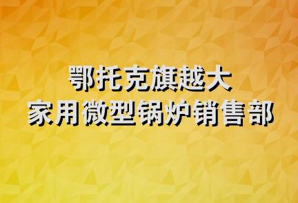 鄂托克旗越大家用微型锅炉销售部