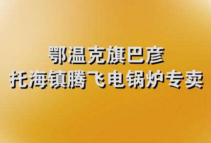 鄂温克旗巴彦托海镇腾飞电锅炉专卖店