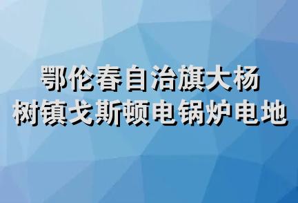 鄂伦春自治旗大杨树镇戈斯顿电锅炉电地热商店