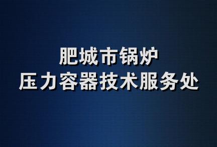 肥城市锅炉压力容器技术服务处