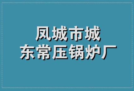 凤城市城东常压锅炉厂