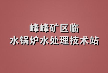 峰峰矿区临水锅炉水处理技术站