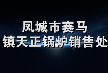 凤城市赛马镇天正锅炉销售处