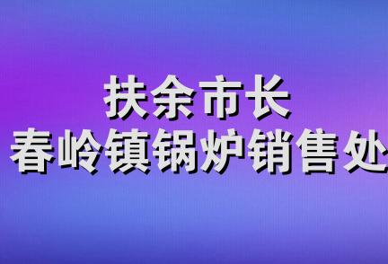 扶余市长春岭镇锅炉销售处