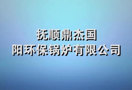 抚顺鼎杰国阳环保锅炉有限公司