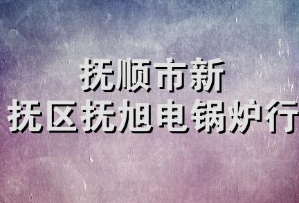 抚顺市新抚区抚旭电锅炉行