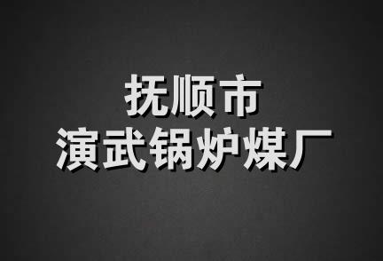 抚顺市演武锅炉煤厂