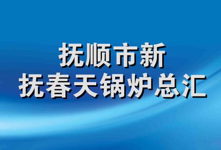 抚顺市新抚春天锅炉总汇