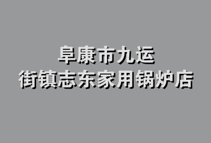 阜康市九运街镇志东家用锅炉店