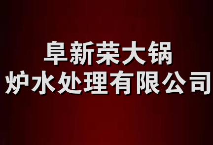 阜新荣大锅炉水处理有限公司