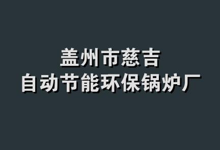 盖州市慈吉自动节能环保锅炉厂