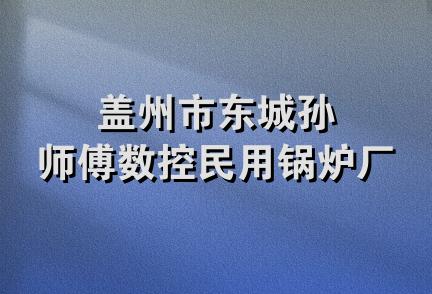 盖州市东城孙师傅数控民用锅炉厂