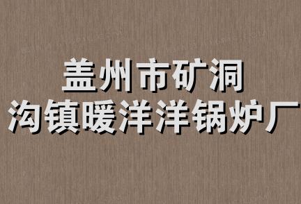 盖州市矿洞沟镇暖洋洋锅炉厂