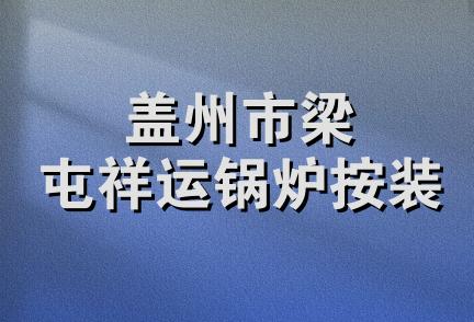 盖州市梁屯祥运锅炉按装