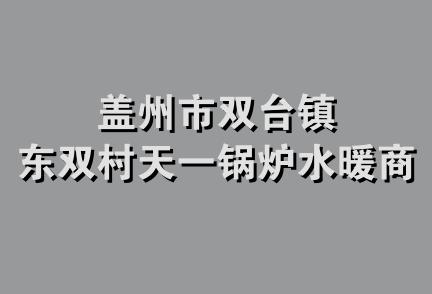 盖州市双台镇东双村天一锅炉水暖商店