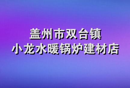 盖州市双台镇小龙水暖锅炉建材店