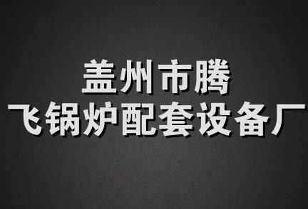 盖州市腾飞锅炉配套设备厂