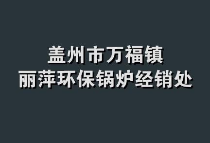 盖州市万福镇丽萍环保锅炉经销处