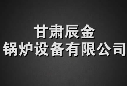 甘肃辰金锅炉设备有限公司