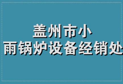 盖州市小雨锅炉设备经销处