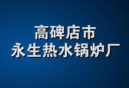 高碑店市永生热水锅炉厂