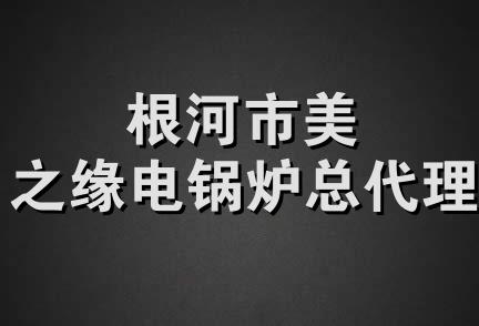 根河市美之缘电锅炉总代理