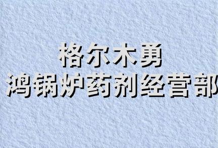 格尔木勇鸿锅炉药剂经营部