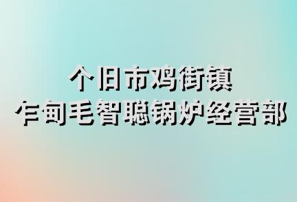 个旧市鸡街镇乍甸毛智聪锅炉经营部