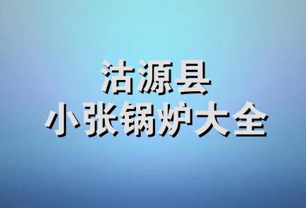 沽源县小张锅炉大全