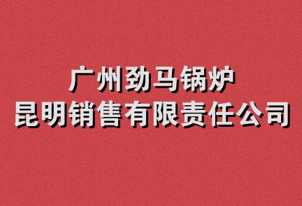 广州劲马锅炉昆明销售有限责任公司