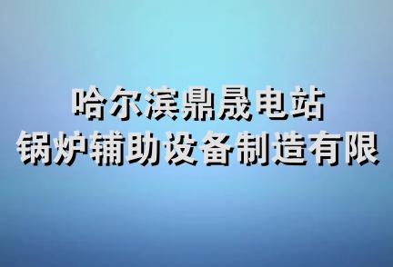 哈尔滨鼎晟电站锅炉辅助设备制造有限公司