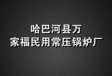 哈巴河县万家福民用常压锅炉厂