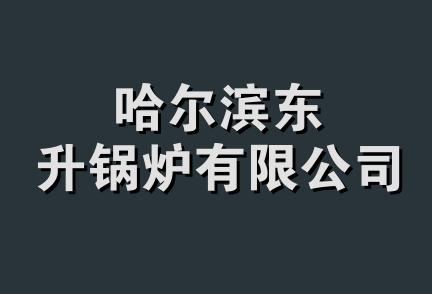 哈尔滨东升锅炉有限公司