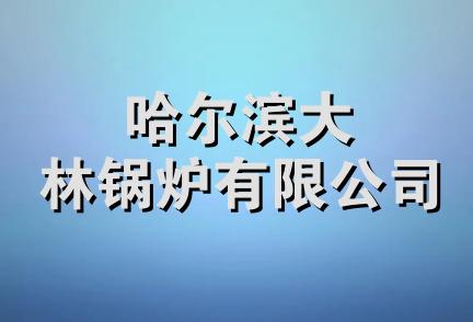 哈尔滨大林锅炉有限公司