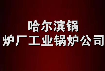 哈尔滨锅炉厂工业锅炉公司