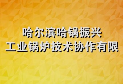 哈尔滨哈锅振兴工业锅炉技术协作有限公司