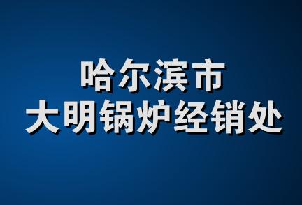 哈尔滨市大明锅炉经销处