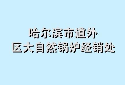 哈尔滨市道外区大自然锅炉经销处