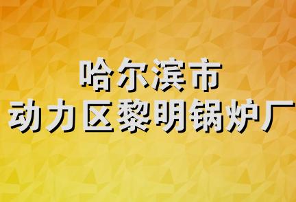 哈尔滨市动力区黎明锅炉厂