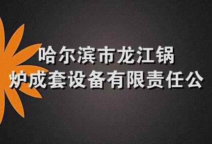 哈尔滨市龙江锅炉成套设备有限责任公司