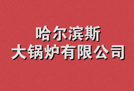 哈尔滨斯大锅炉有限公司