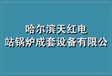 哈尔滨天红电站锅炉成套设备有限公司