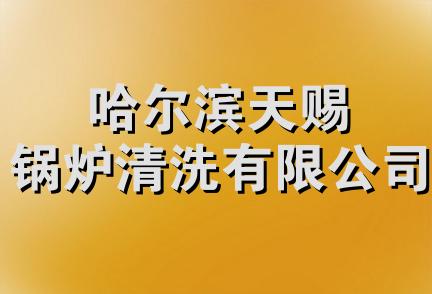 哈尔滨天赐锅炉清洗有限公司