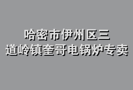 哈密市伊州区三道岭镇奎哥电锅炉专卖店