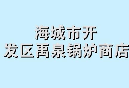 海城市开发区禹泉锅炉商店