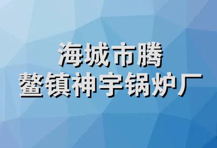 海城市腾鳌镇神宇锅炉厂