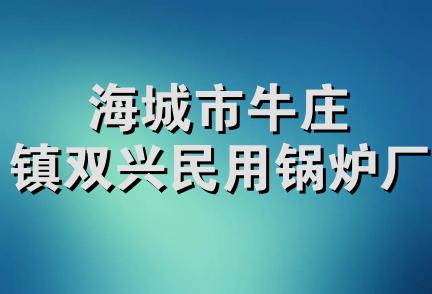 海城市牛庄镇双兴民用锅炉厂